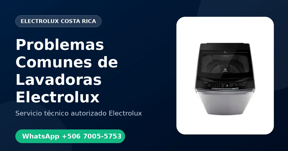 Problemas Comunes de Lavadoras Electrolux en Costa Rica