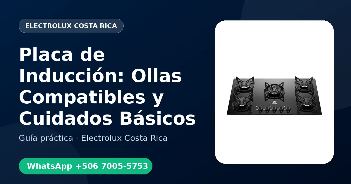 Placa de Inducción: Ollas Compatibles y Cuidados Básicos