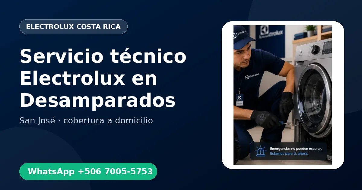 Servicio urgente Electrolux en Desamparados