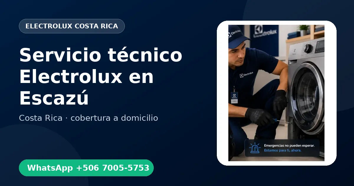 Técnico a domicilio Electrolux en Escazú