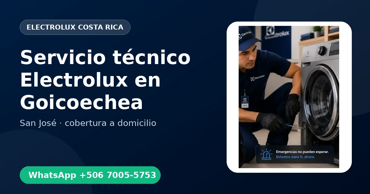Técnico a domicilio Electrolux en Goicoechea