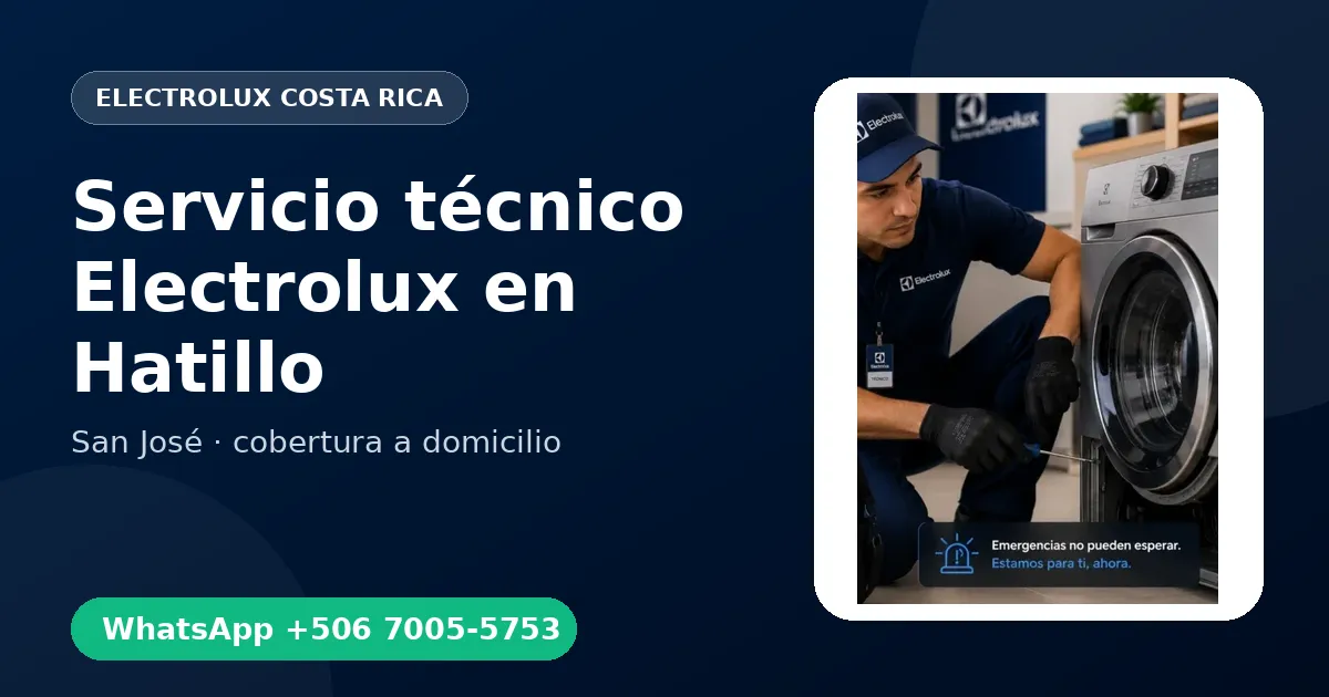 Mantenimiento Electrolux en Hatillo