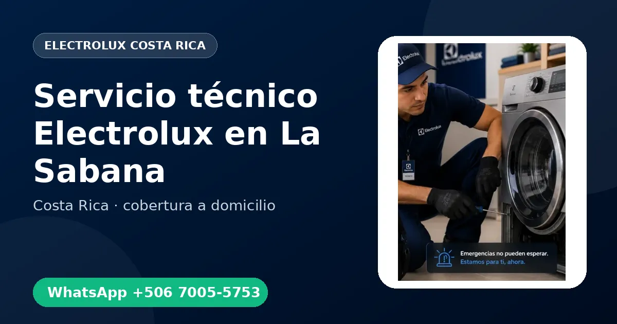 Mantenimiento Electrolux en La Sabana