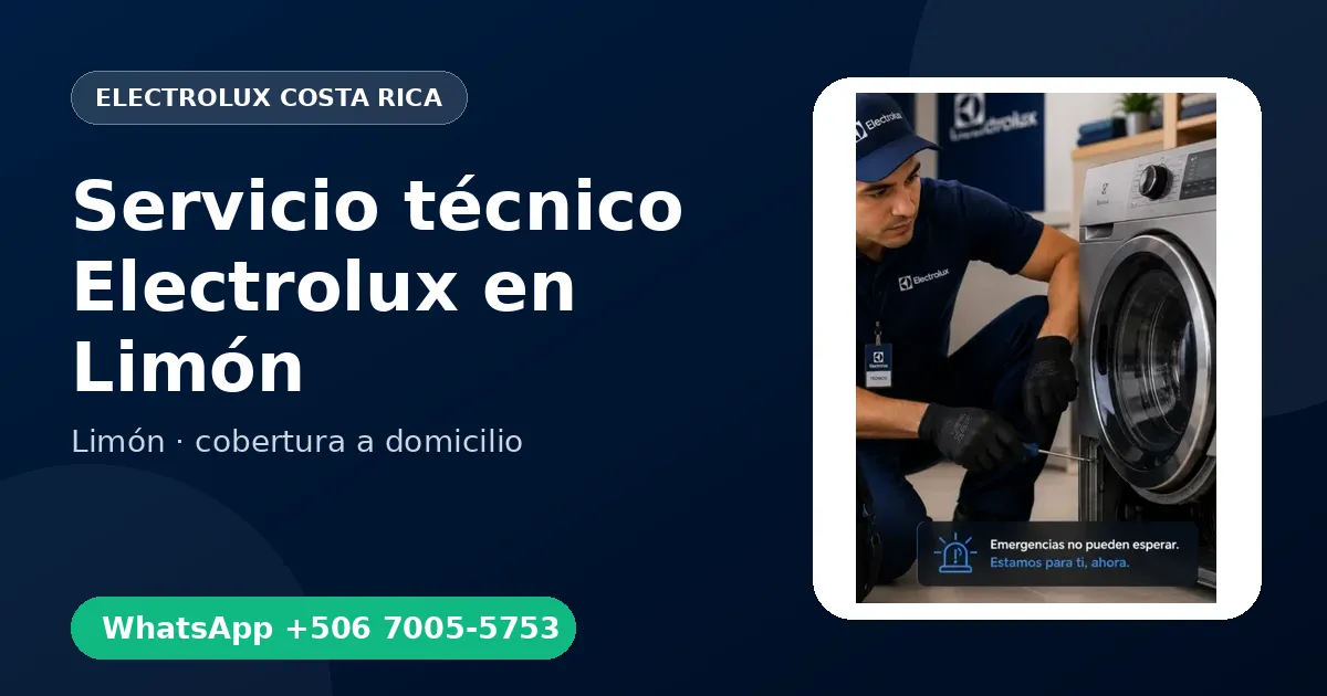 Técnico a domicilio Electrolux en Limón