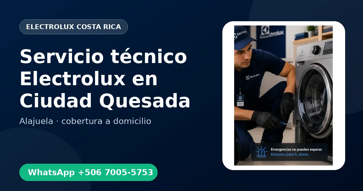 Técnico a domicilio Electrolux en Ciudad Quesada