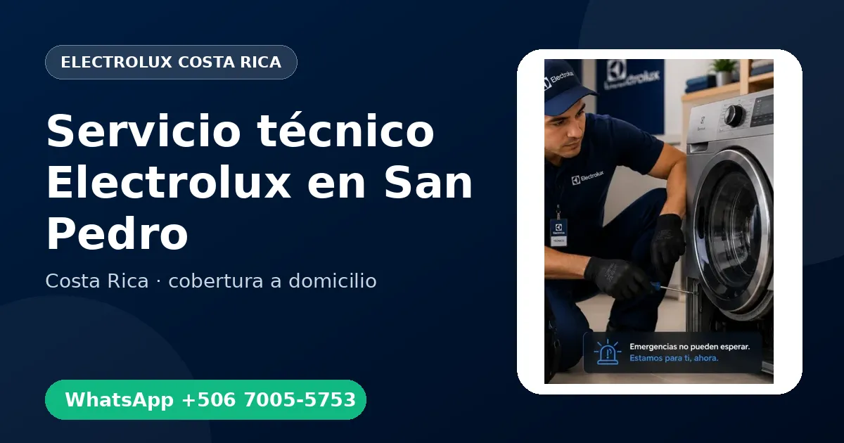 Técnico a domicilio Electrolux en San Pedro