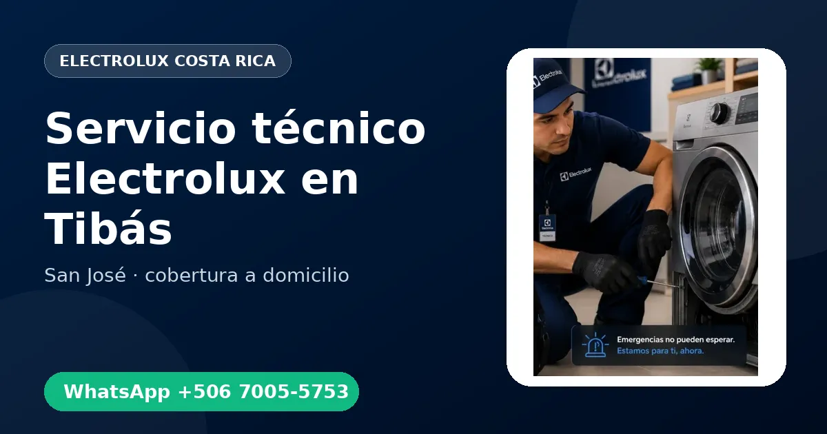 Técnico a domicilio Electrolux en Tibás